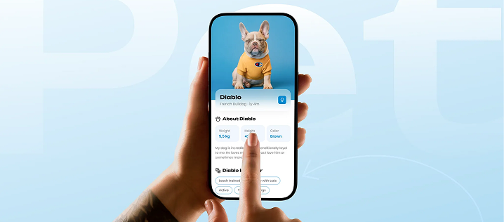 App development services