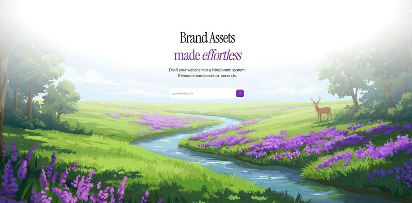 Website design and development